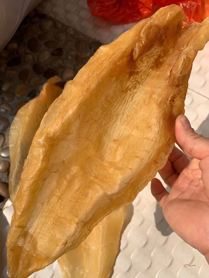 北海鳘鱼胶，4头一斤