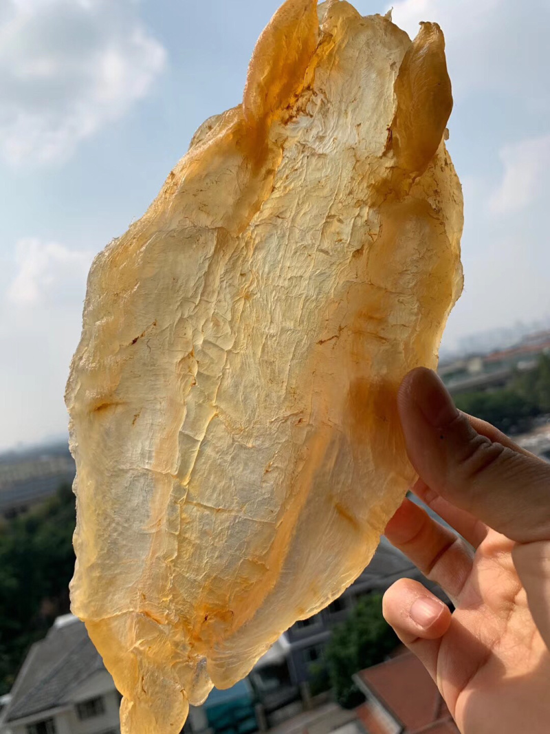 北海鳘鱼胶，4头一斤