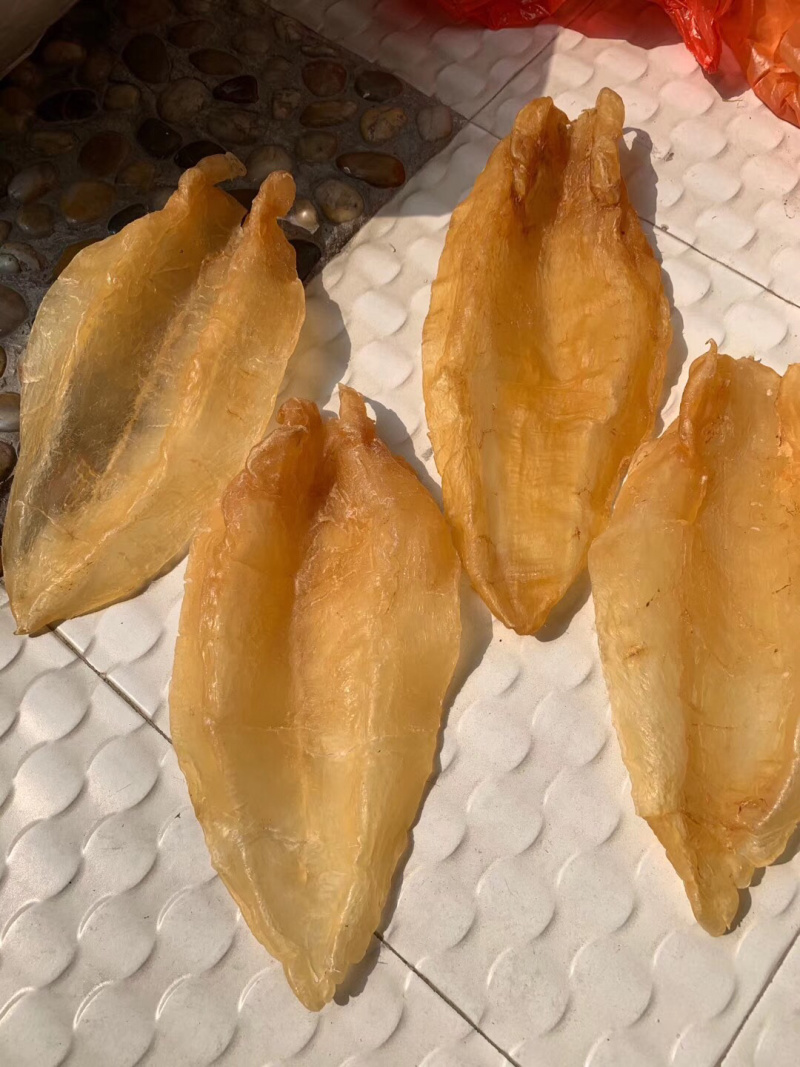 北海鳘鱼胶，4头一斤