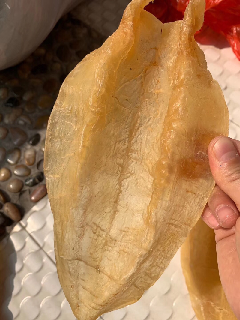 北海鳘鱼胶，4头一斤