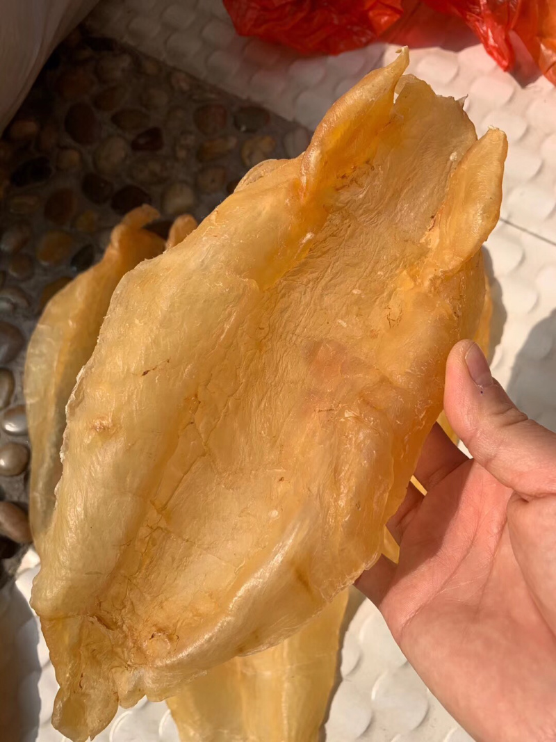 北海鳘鱼胶，4头一斤