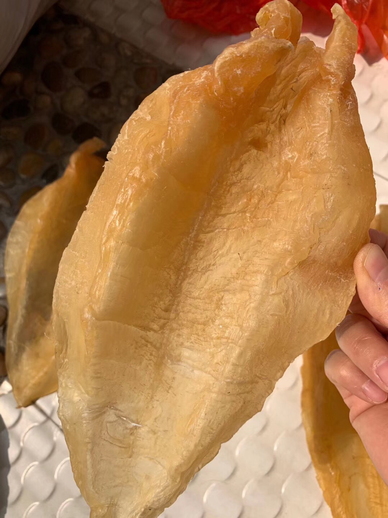 北海鳘鱼胶，4头一斤