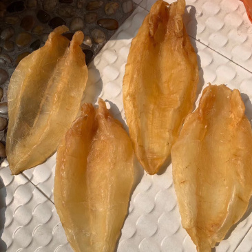 北海鳘鱼胶，4头一斤
