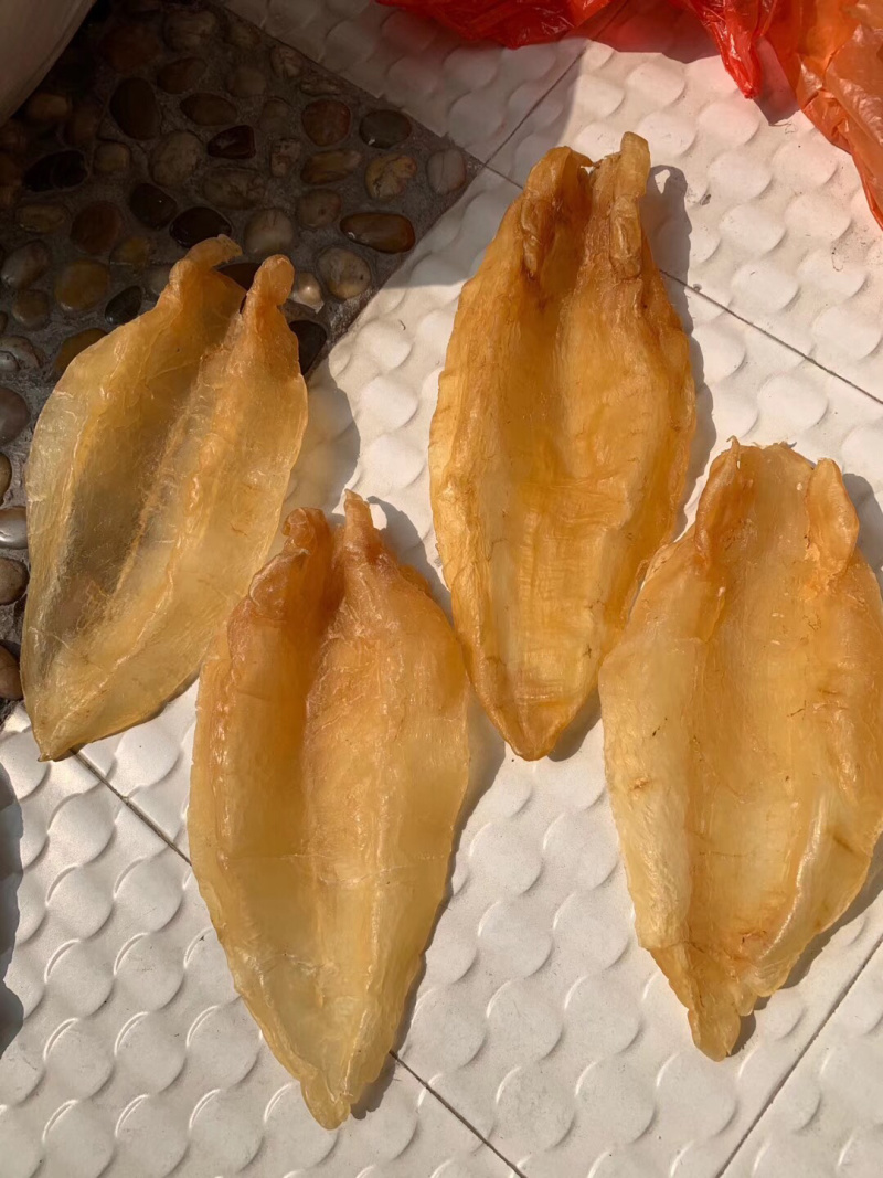 北海鳘鱼胶，4头一斤