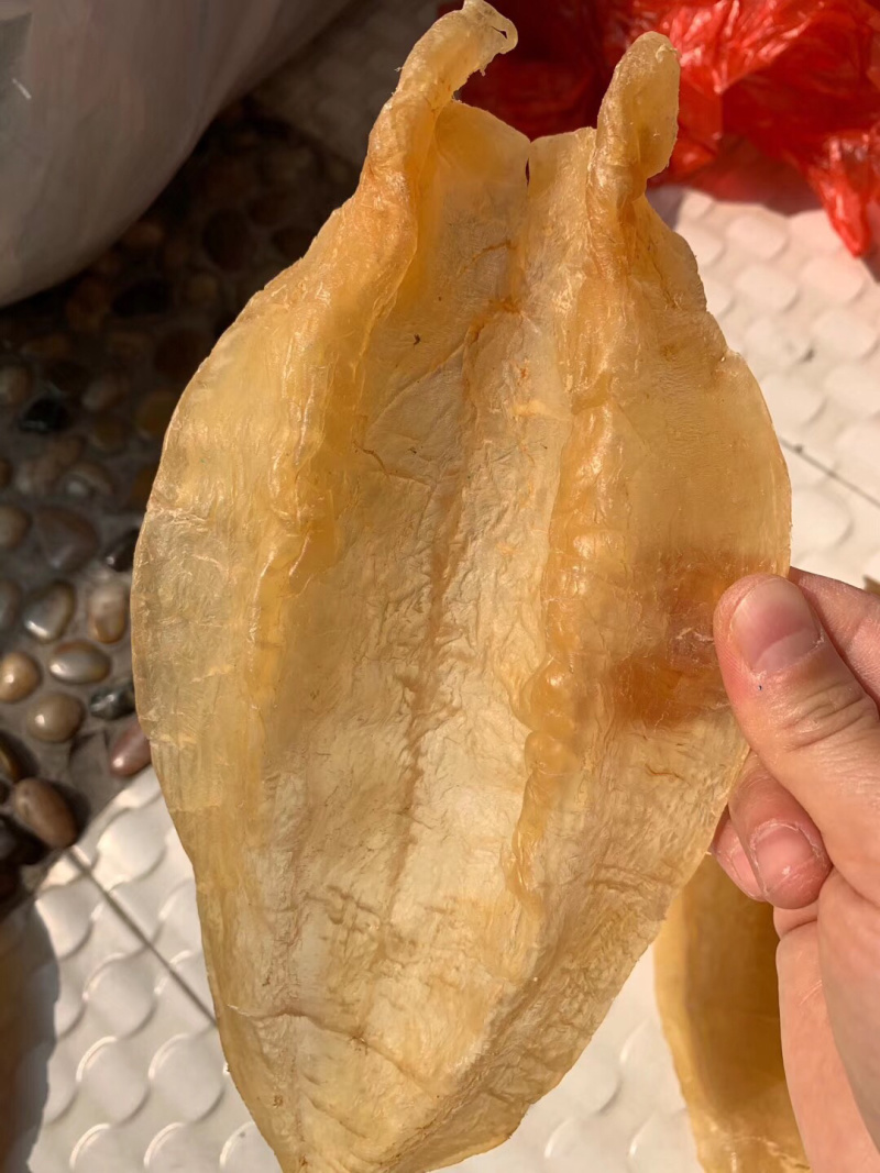 北海鳘鱼胶，4头一斤