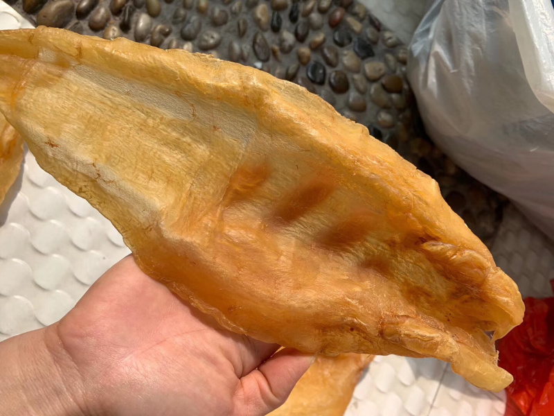 北海鳘鱼胶，4头一斤