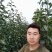 锦丰梨苗,成活率高,技术指导,保品种,可签合同