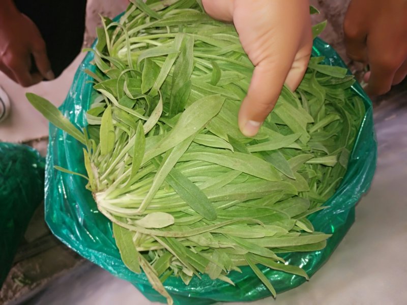 面条菜