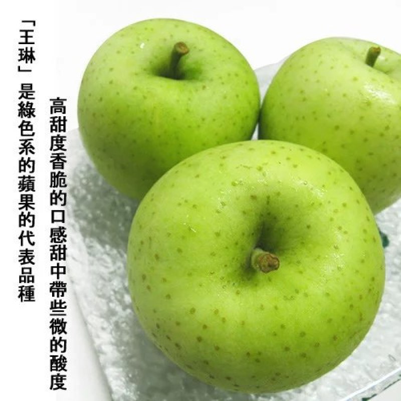 王林苹果树苗，成活率高，技术指导，保品种，可签合同
