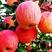 中秋王苹果树苗，成活率高，技术指导，保品种，可签合同