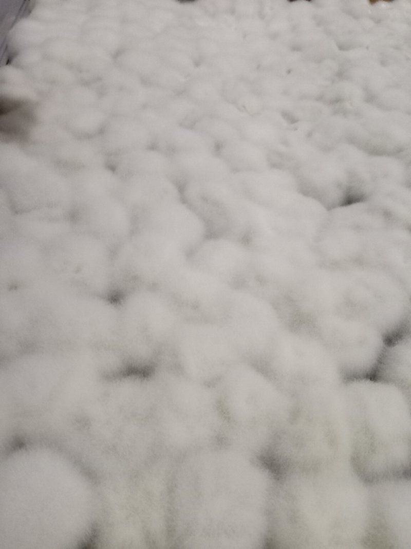 贵州特产纯手工零添加霉豆腐