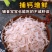 山东日照渔家自晒特级小虾皮孕妇宝宝补钙佳品包邮到家