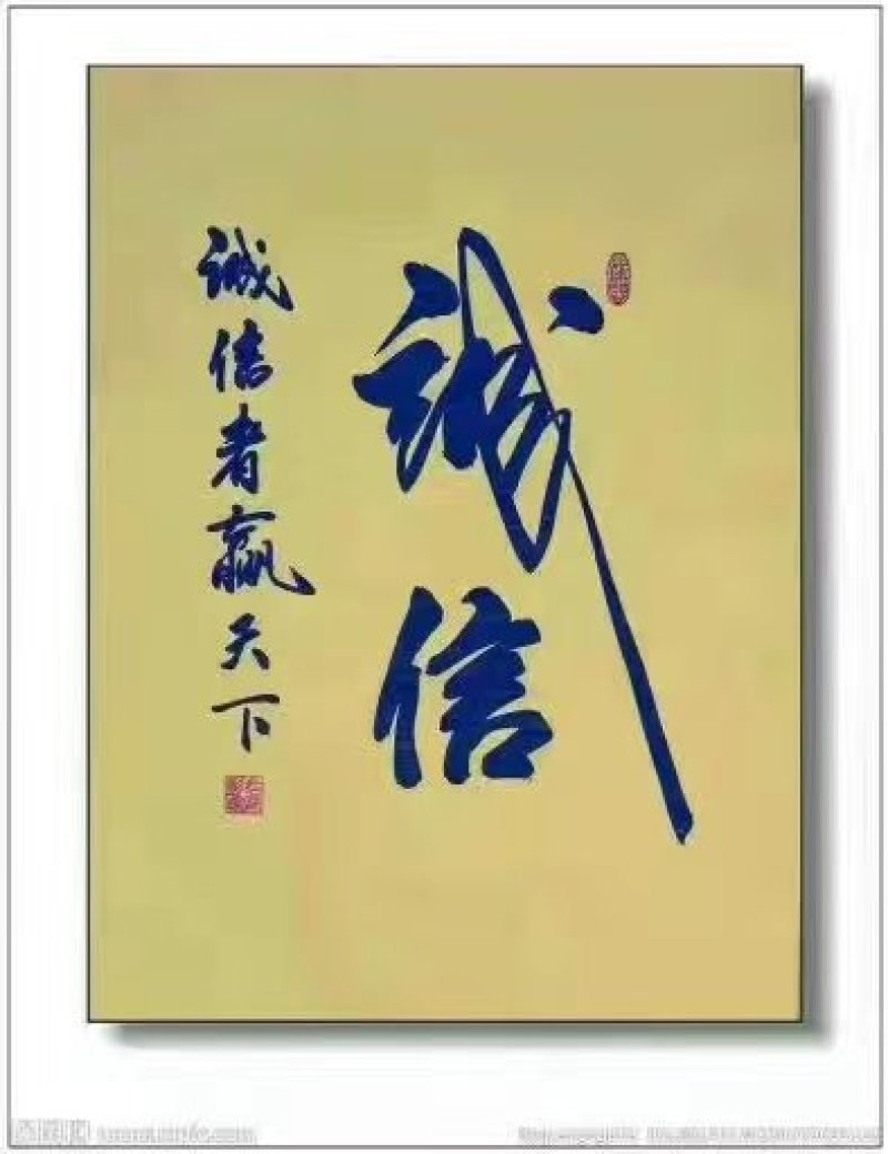 巨峰葡萄苗保证纯度保证成活率