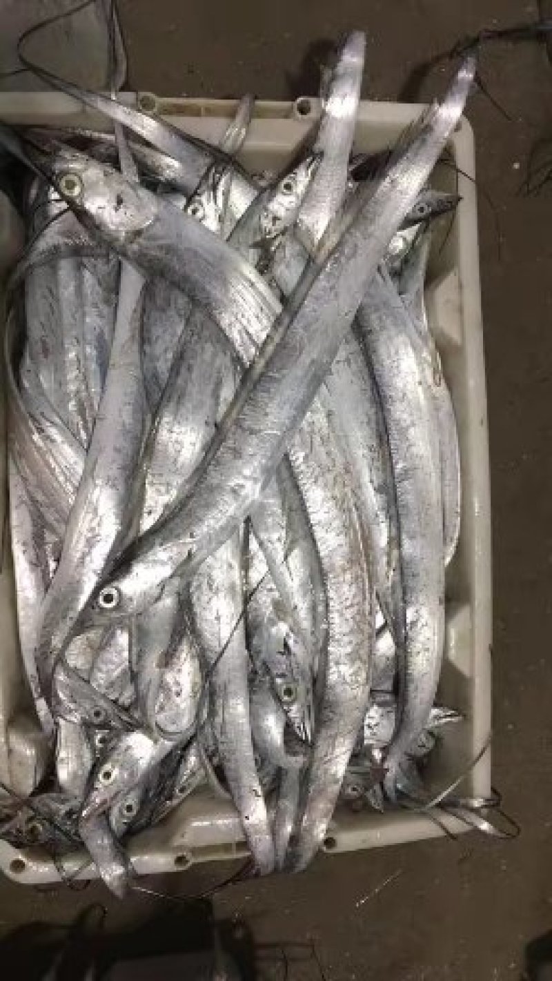浙江海鲜
