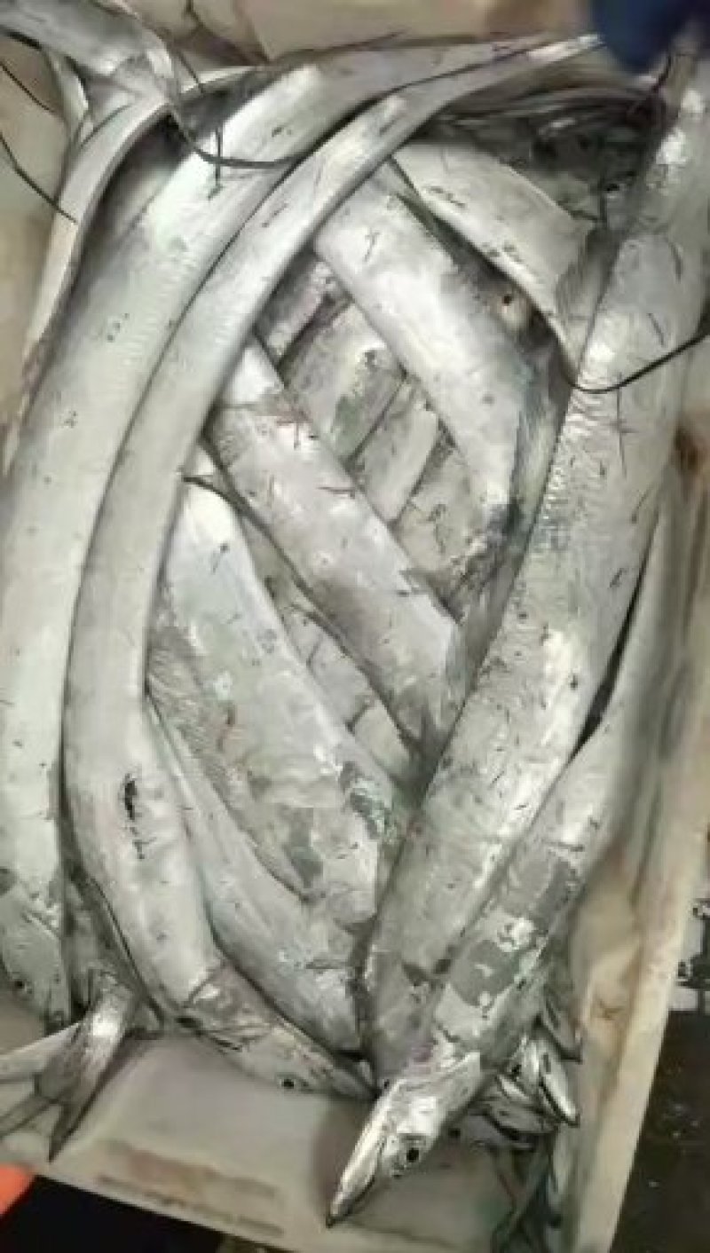 浙江海鲜
