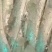 浙江海鲜
