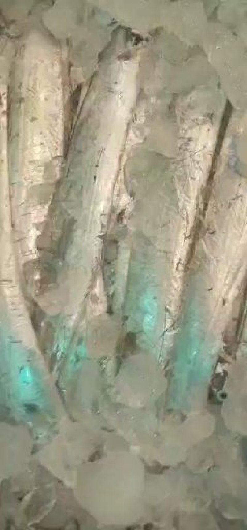 浙江海鲜