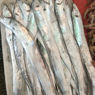 浙江海鲜