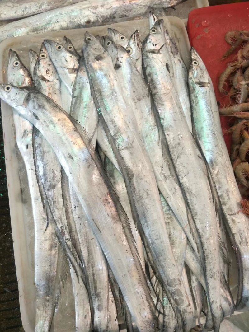 浙江海鲜