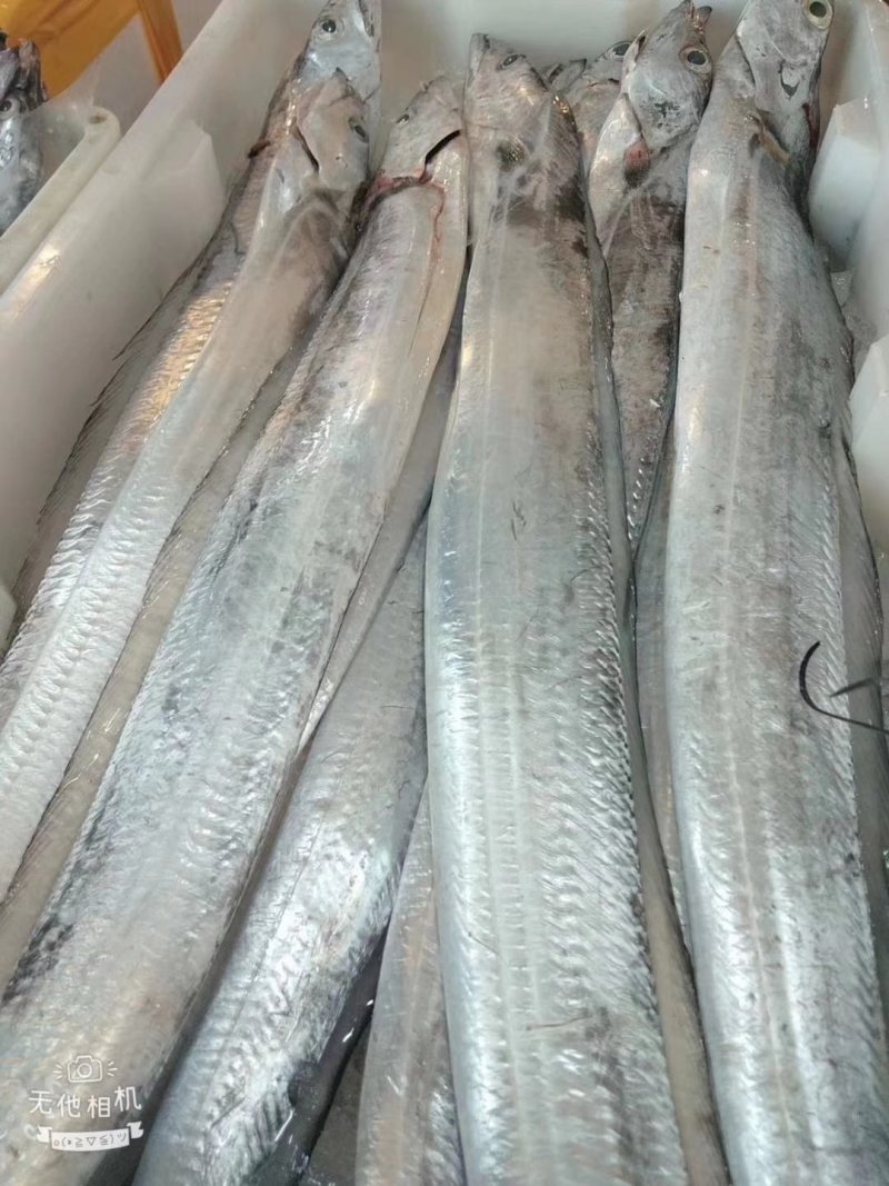 浙江海鲜
