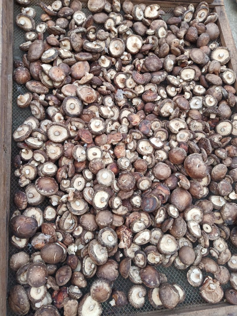 香菇，营养丰富，美味价廉
