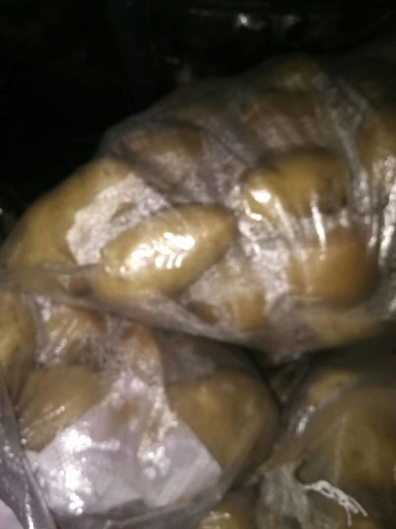 山东荷兰十五土豆供应之中货源充足按质量论价