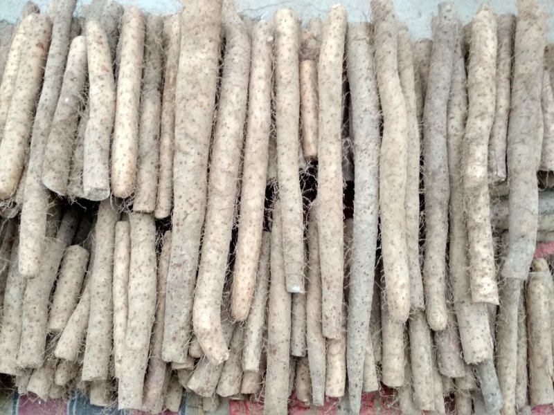 白玉山药，品种繁多，量打优惠