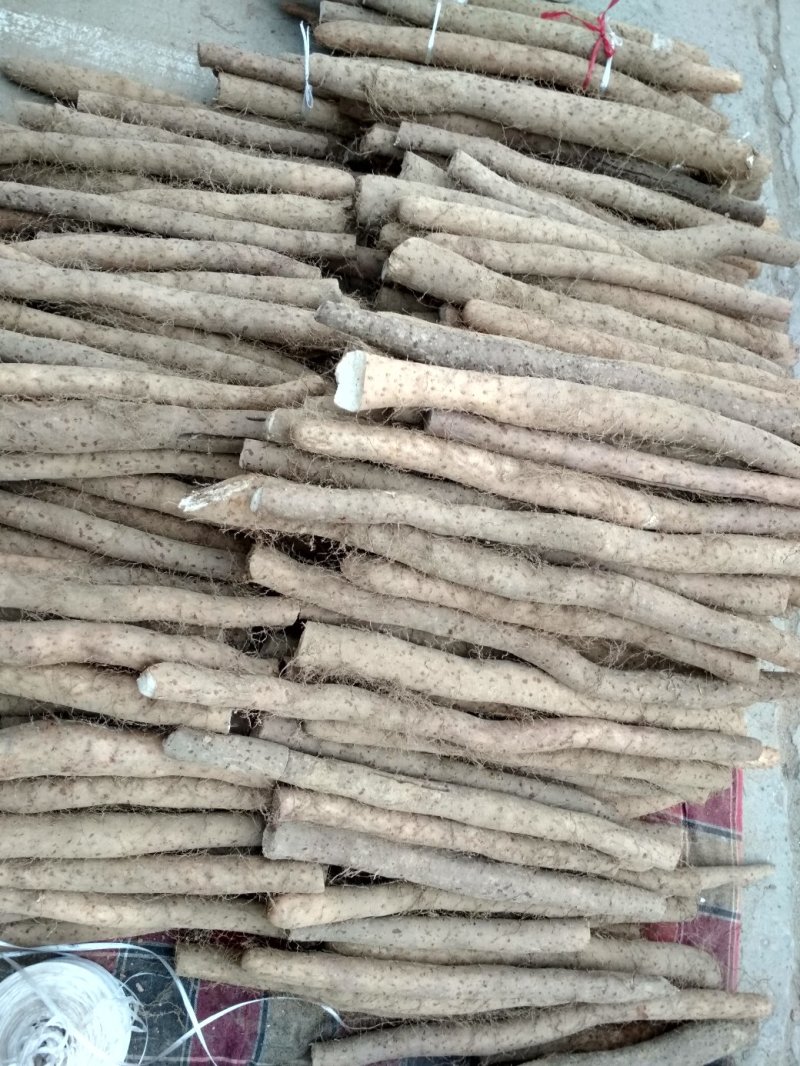 白玉山药，品种繁多，量打优惠