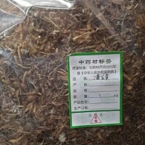 蒲公英河南实图拍摄一首货源