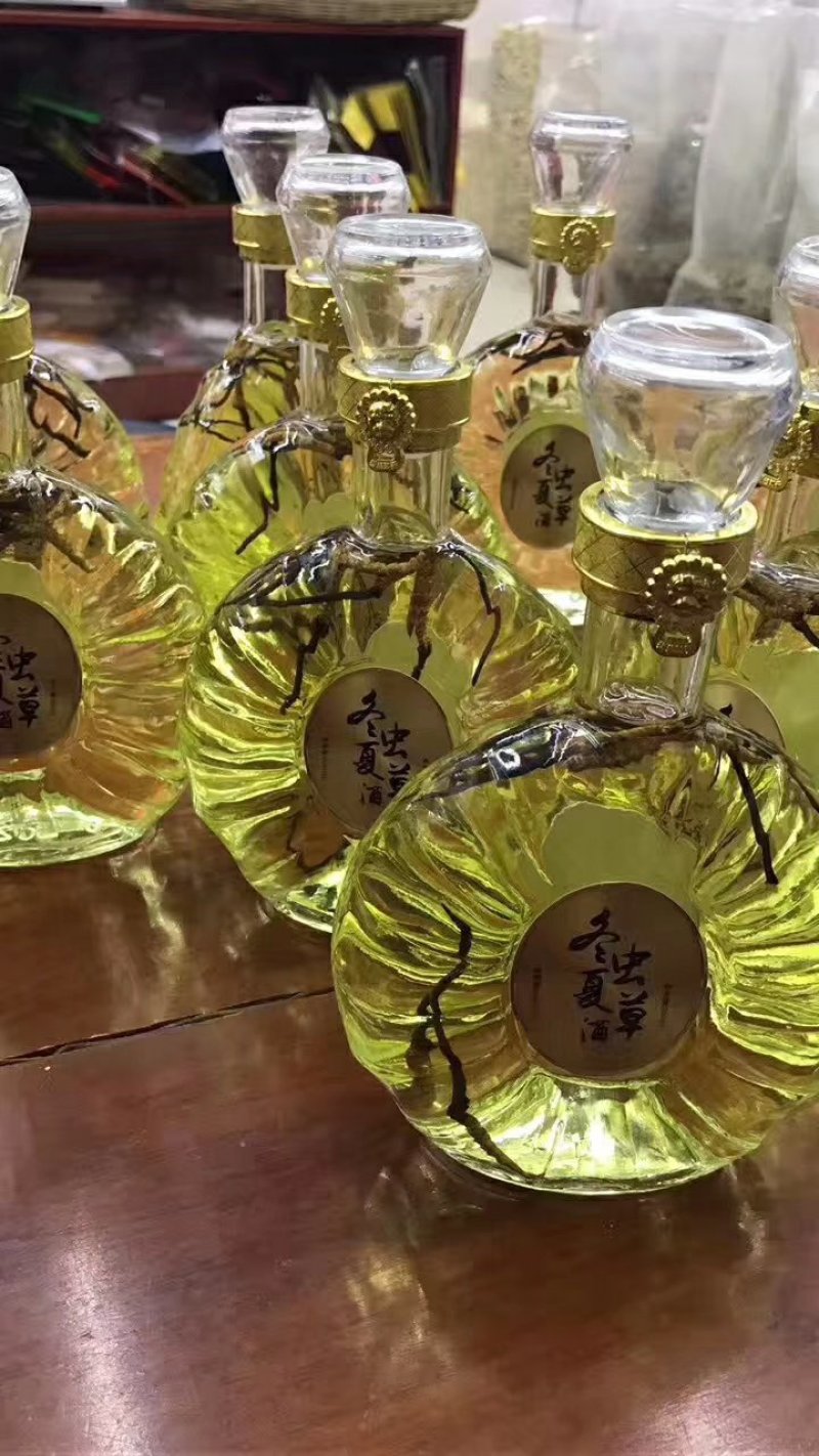 冬虫夏草酒