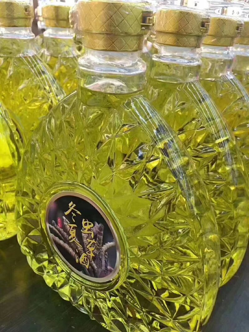 冬虫夏草酒