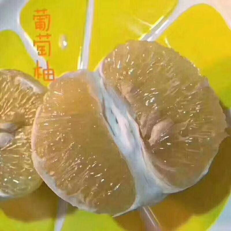 台湾爆汁葡萄柚产地直发支持电商平台一件代发