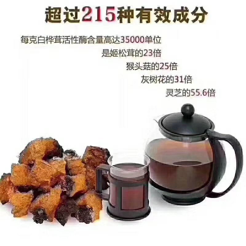 桦树茸