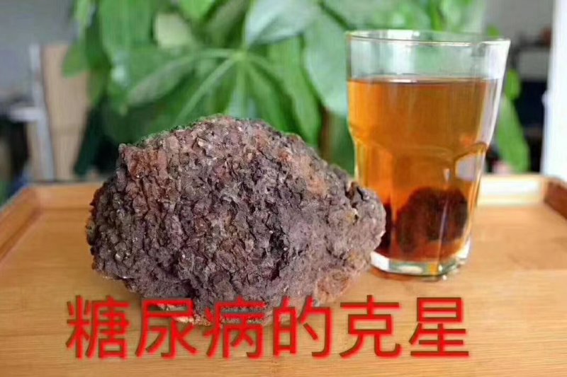 桦树茸