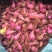 冰球子，