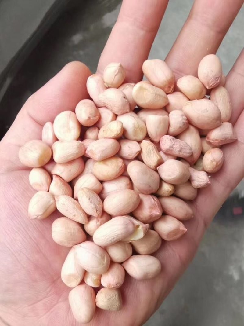 纯正花生油
