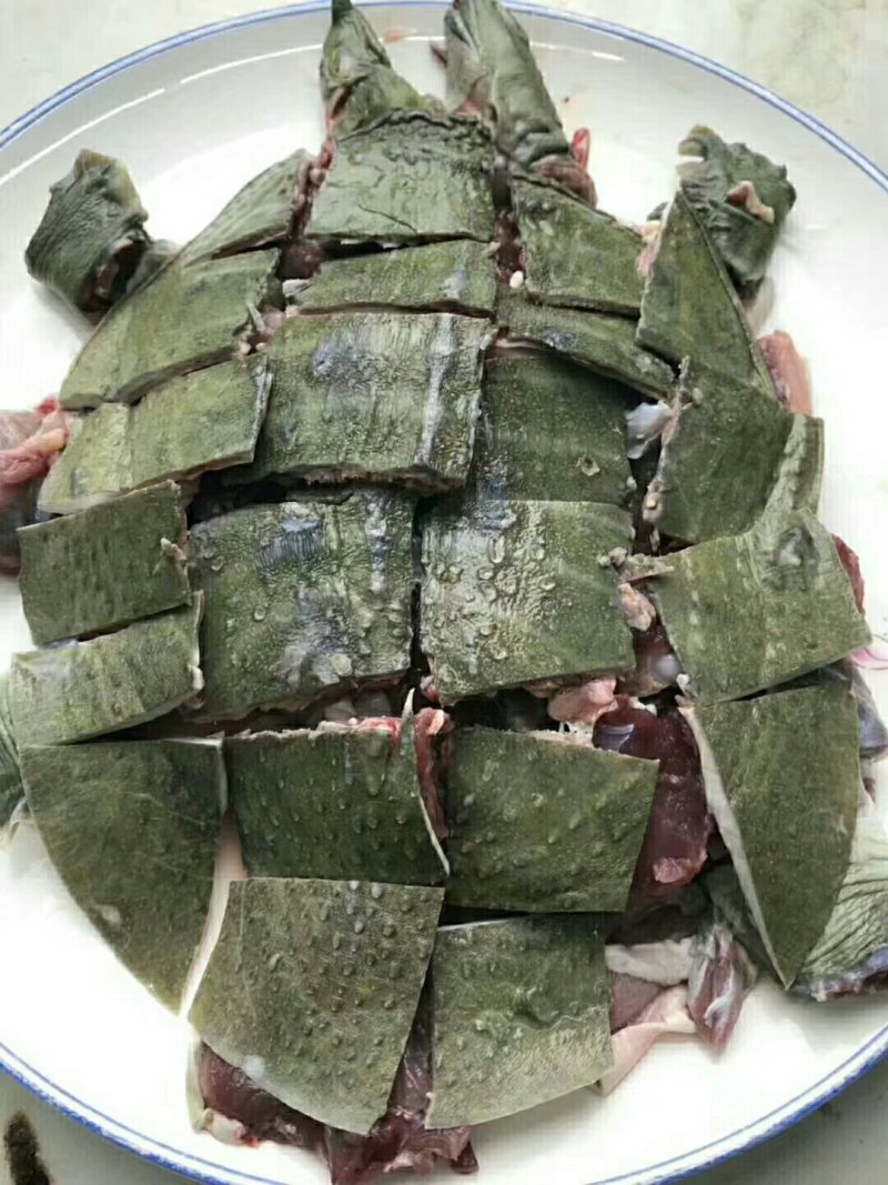 精选外塘甲鱼，2-3斤母水鱼(包活，肉质鲜美)，长期供应
