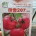西红柿苗番茄苗抗热精品大果硬粉不裂果抗病
