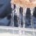 缅甸雪燕