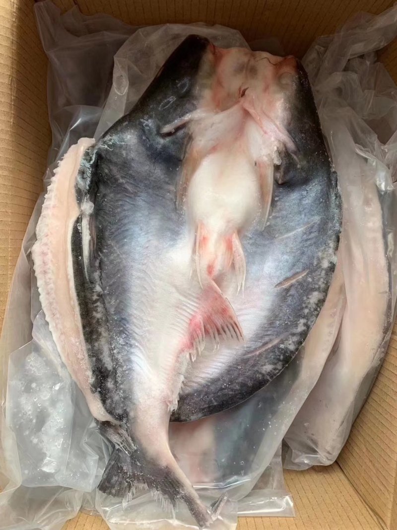 腌制开背巴沙鱼（越南货）