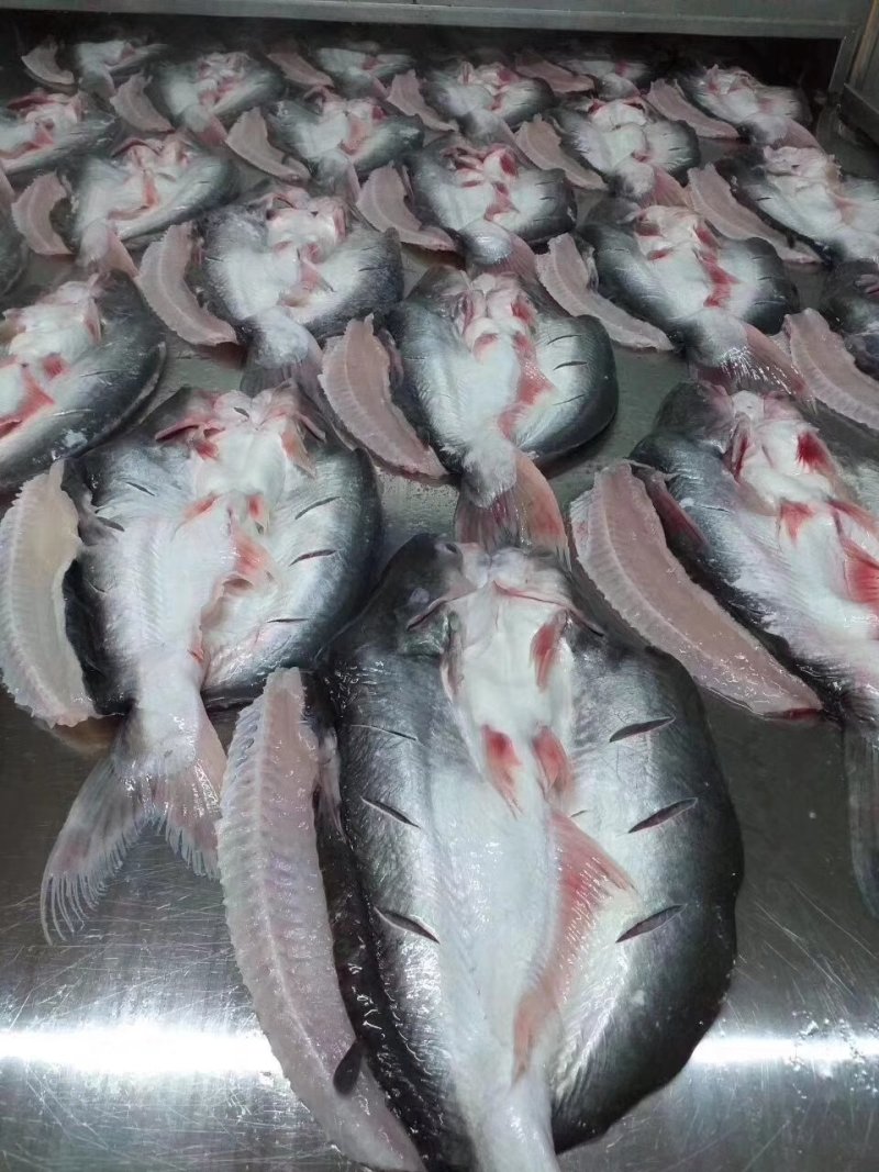 腌制开背巴沙鱼（越南货）
