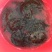 1.5-4斤精挑黑花甲鱼顺丰包邮运到包活纯外塘