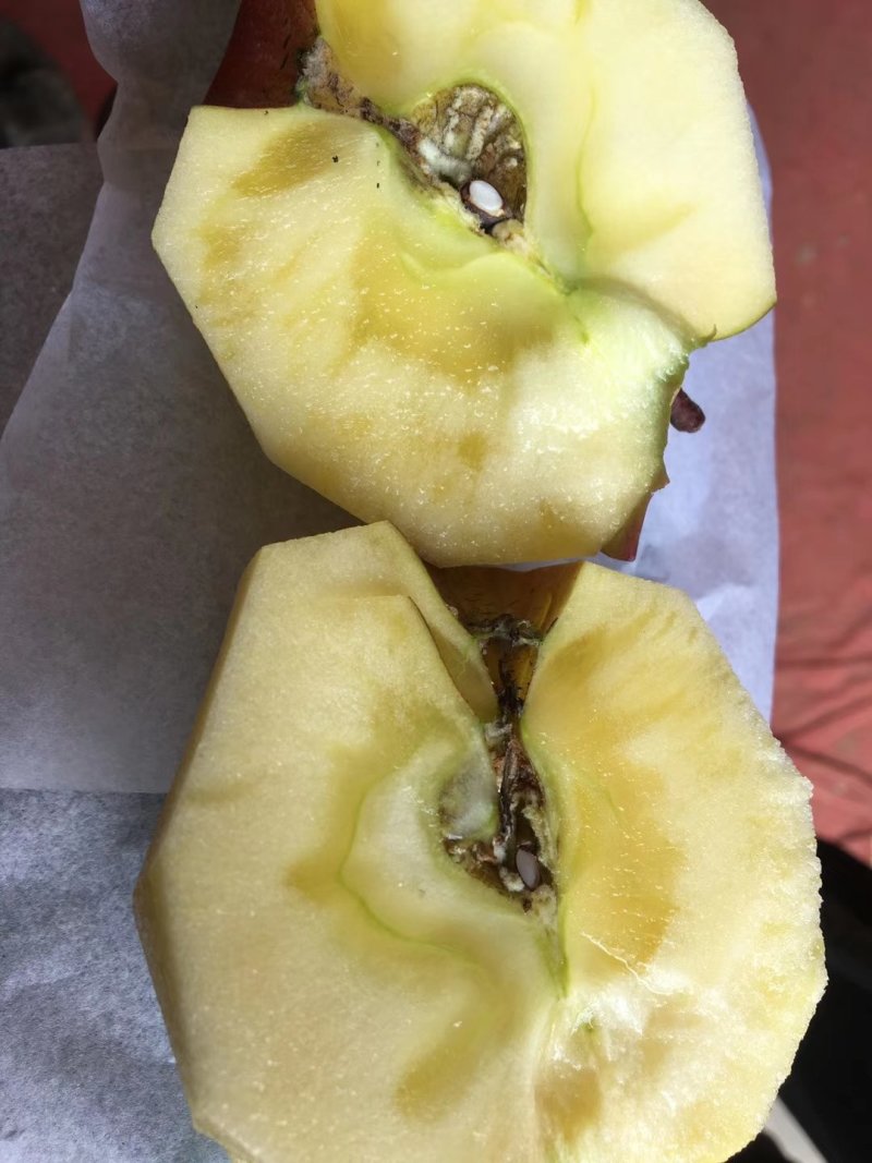 【冰糖心苹果】云南昭通冰糖心丑苹果糖分足甜度高口感脆甜耐运输