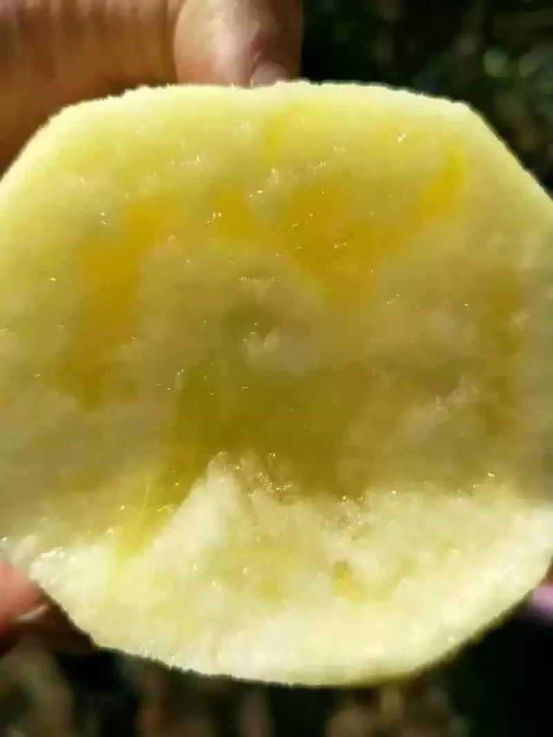 【冰糖心苹果】云南昭通冰糖心丑苹果糖分足甜度高口感脆甜耐运输