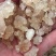 雪燕缅甸种植基地种植各种规格齐全拉丝雪燕批发