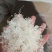 雪燕缅甸种植基地种植各种规格齐全拉丝雪燕批发