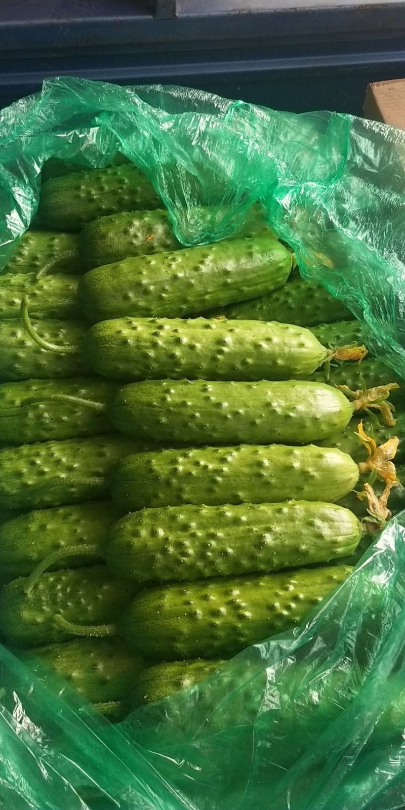 蔬菜