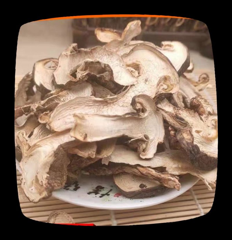 松茸干片