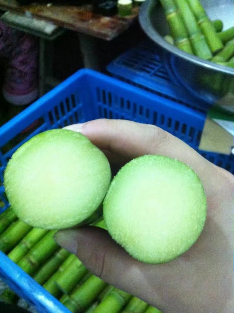 陶山甘蔗
