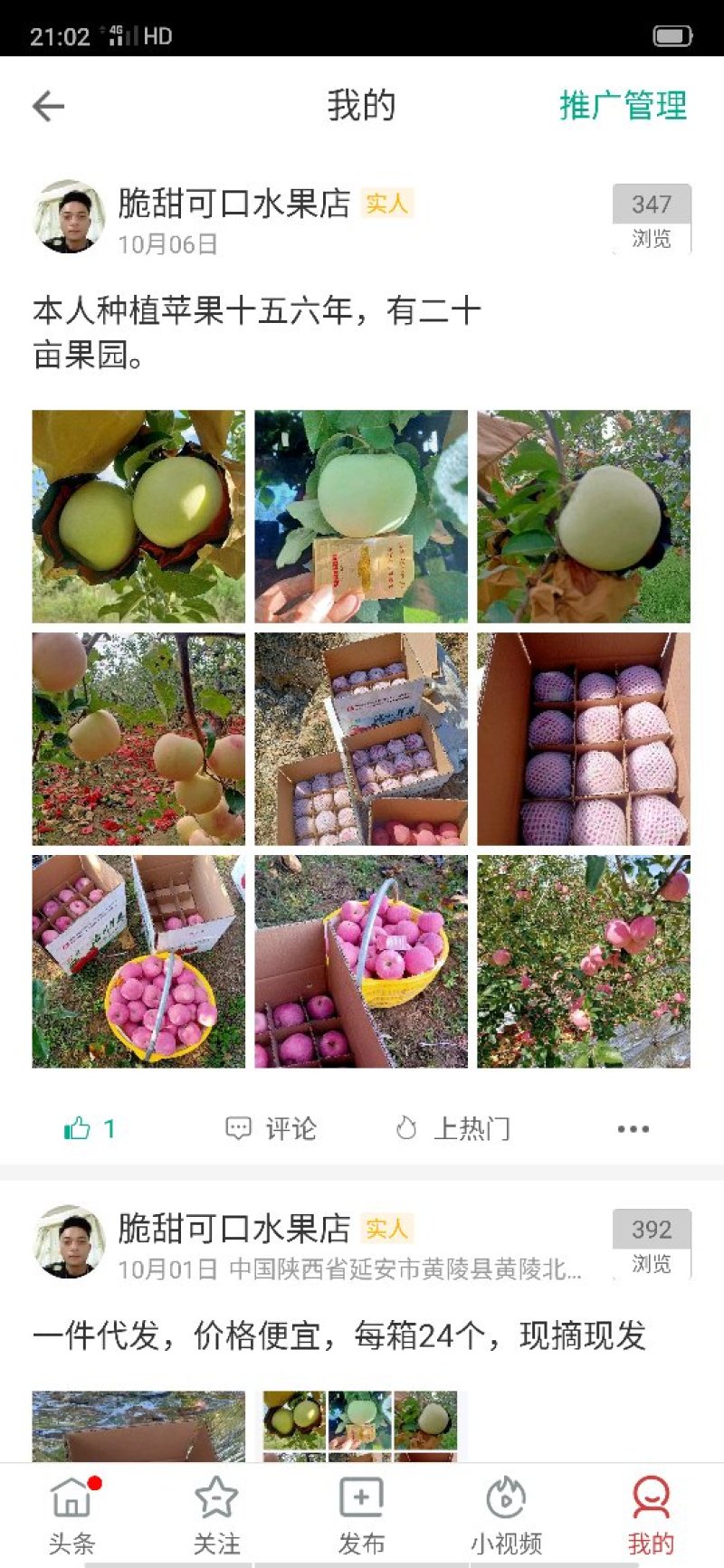 陕西洛川苹果一件代发，保质保量，口感脆甜，包邮到家包售后